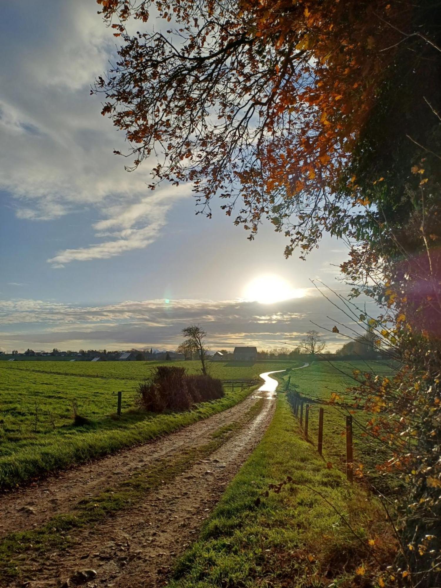 La Chamallow Vachement Douillet Dinant Buitenkant foto